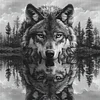 (US Only)Wolf Printed Cross Stitch Kit 50x50cm DIY 14CT Thread Art Needlework Decor