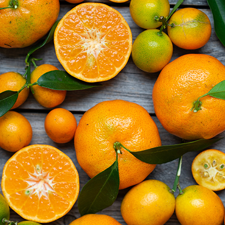 🍊Citrus Fruit Seeds