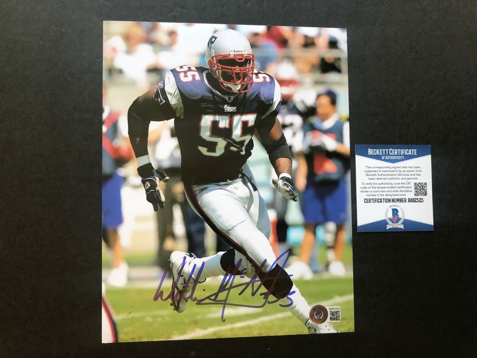 Willie McGinest Hot! Signed Autographed Patriots 8x10 Photo Poster painting Beckett BAS Coa