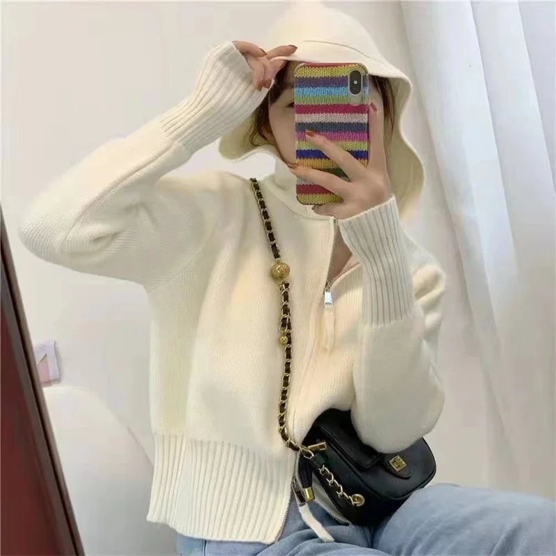 Toloer Toloer And Winter Hooded Knit Sweater Female Small Design Sense Double Zipper Korean Pure Color Short Cardigan Sweater Coat-Outfit Ideas