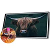 >SALE<5D DIY Full Round Drill Diamond Painting Yak Kit Home Decoration Art Craft (2)