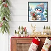 Diamond Painting - Partial Special Shaped Drill - Winter Snowman(Canvas|30*30cm)