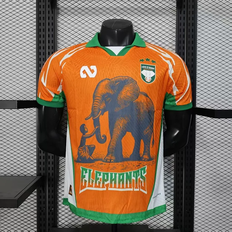 Player version - Ivory Coast 25/26 Special Edition Jersey