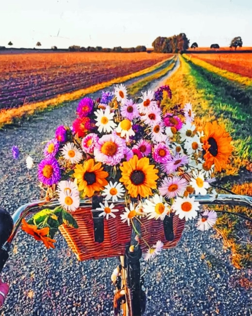 

Flowers And Bike – Landscapes Paint By Numbers - 40*50CM, 501 Original