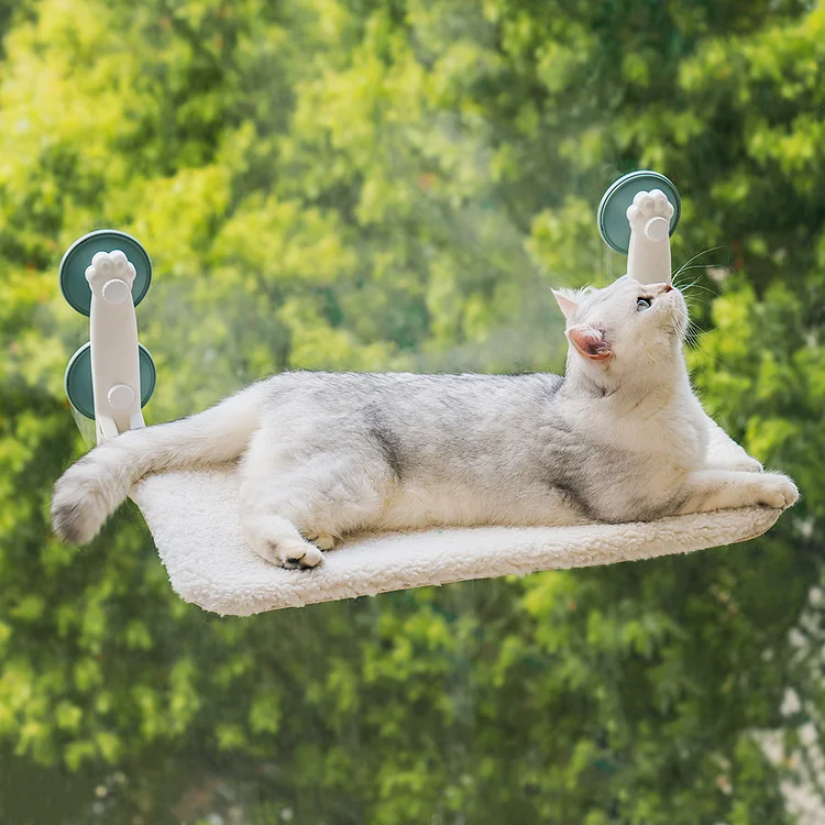 Cat hammock 2025 suction cups