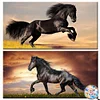 2Pack Horse- AB Drills Full Round Diamond Painting(85x45cm)