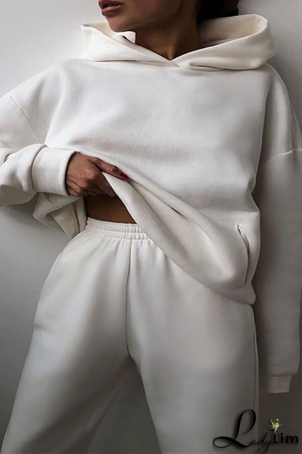 Purple Fashion Casual Solid Basic Hooded Collar Long Sleeve Two Pieces