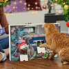 LAST 48 HOURS 49% OFF - 2025 CHRISTMAS COUNTDOWN CAT TOYS ADVENT CALENDAR