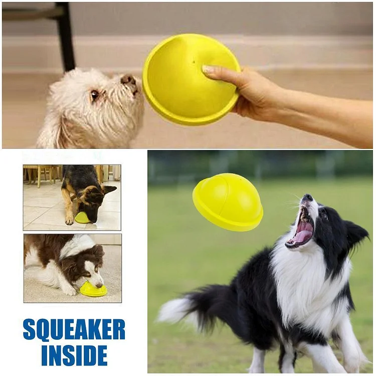 Indoor Gliding Squeaky Dog Toy | 168DEAL