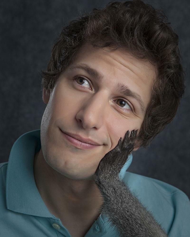 Andy Samberg 8x10 Picture Simply Stunning Photo Poster painting Gorgeous Celebrity #41