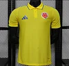 Player Version 2026 Colombia Yellow POLO Jersey