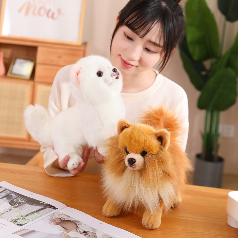 Tegooe Realistic Pomeranian Dog Plush Toy - Soft Stuffed Animal Puppy Doll for Kids