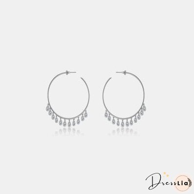 Inlaid Zircon 925 Sterling Silver Earrings