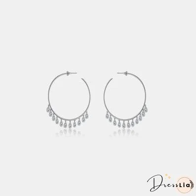 Inlaid Zircon 925 Sterling Silver Earrings