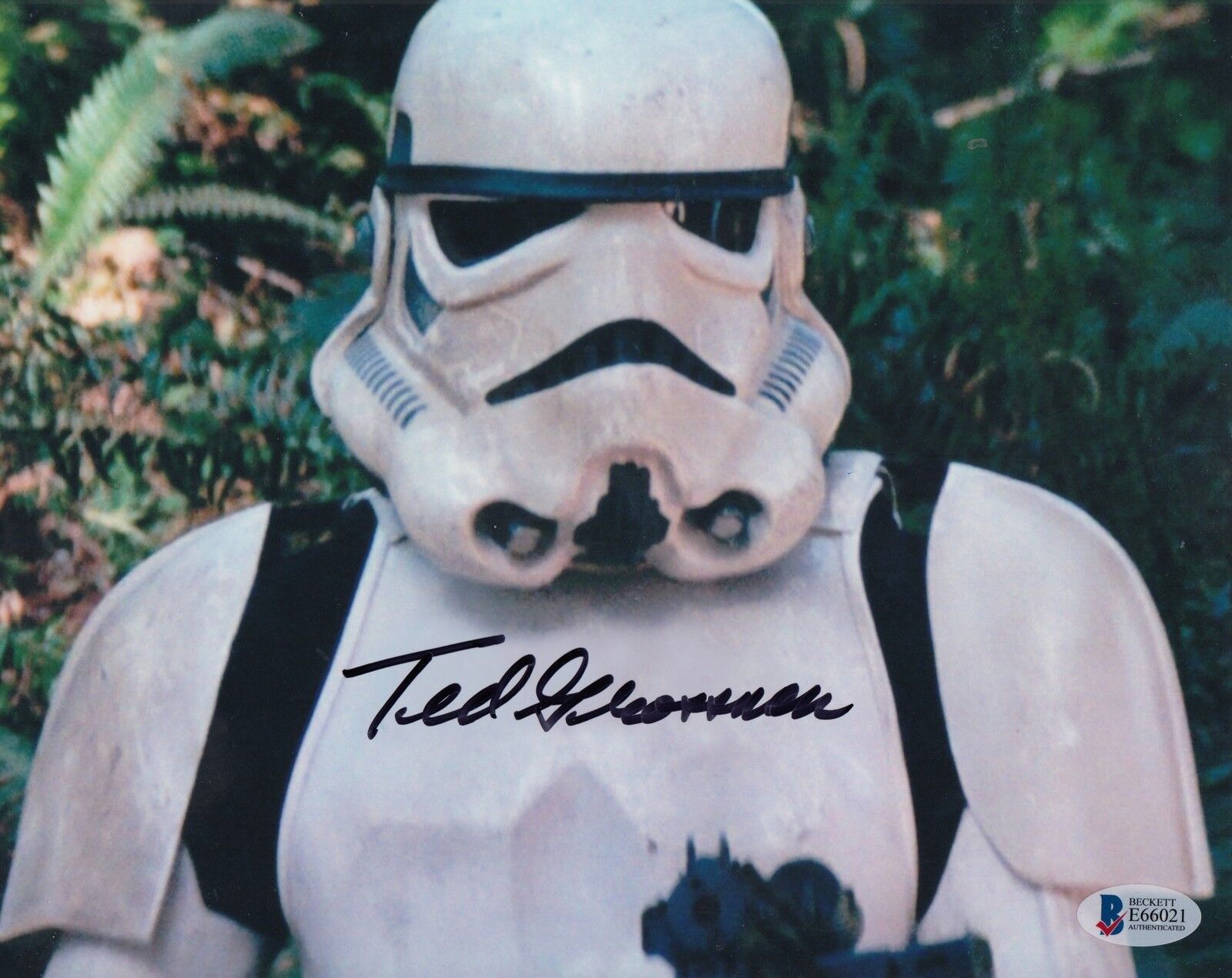 Ted Grossman (Star Wars) #0 8x10 Signed 8x10 Photo Poster painting Beckett Actor 061718