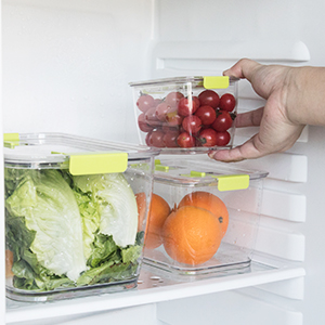 Refrigerator storage
