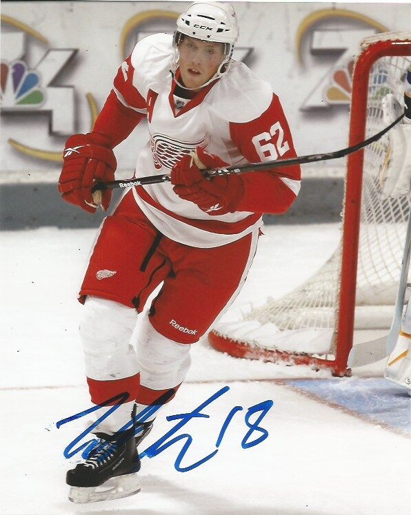 Detroit Red Wings Jokaim Andersson Signed Autographed 8x10 Photo Poster painting COA B