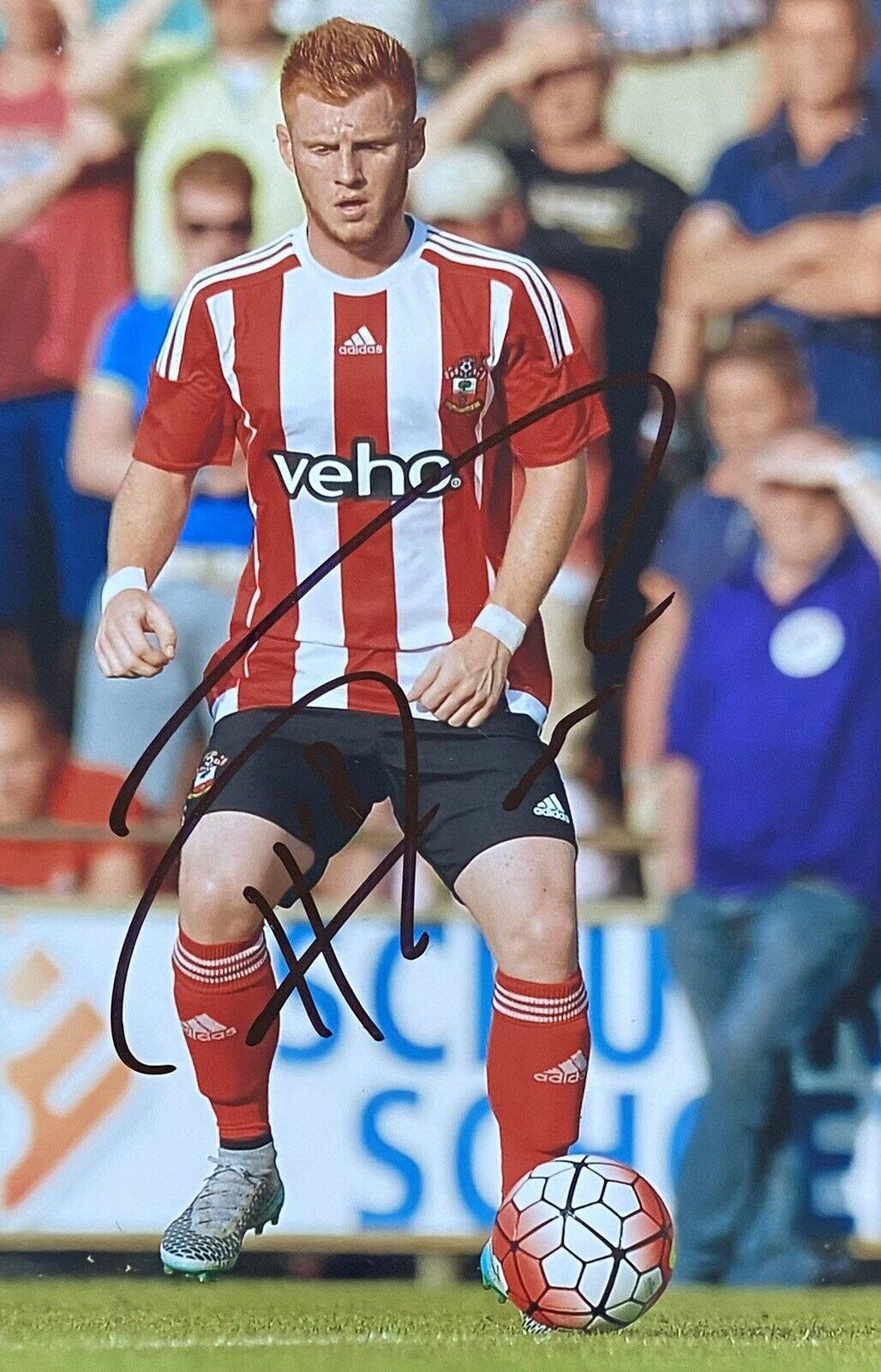 Harrison Reed Genuine Hand Signed Southampton 6X4 Photo Poster painting 2