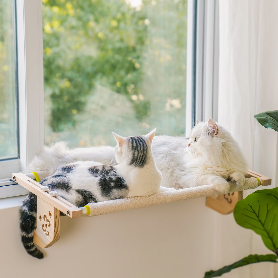 Track Bracket Adjustable Cat Window Perch Mewoofun mewoofun