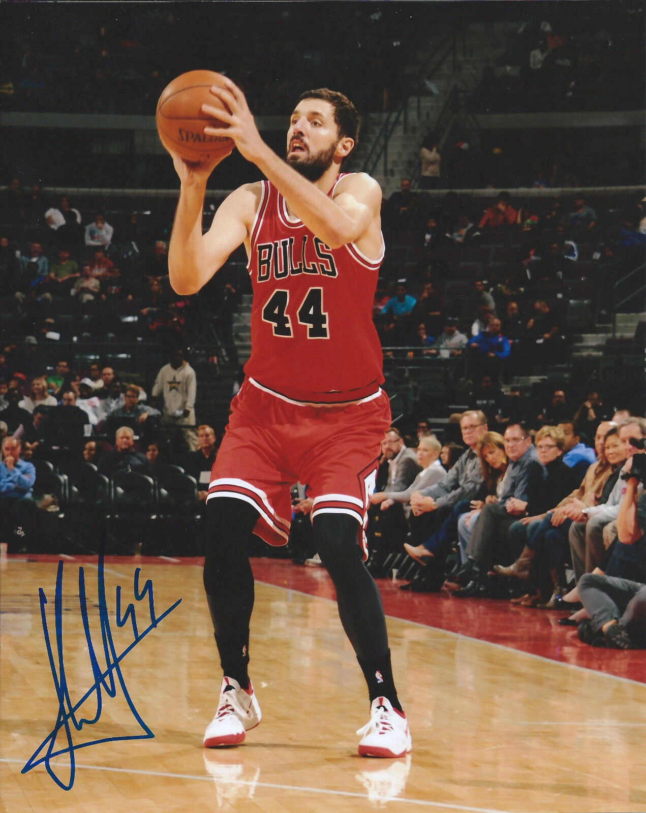 NIKOLA MIROTIC signed autographed CHICAGO BULLS 8x10 Photo Poster painting