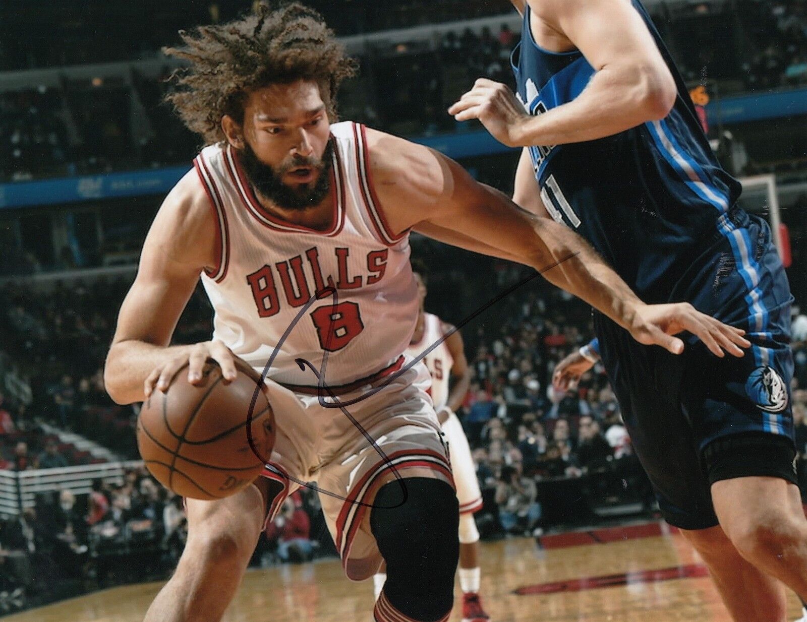 ROBIN LOPEZ signed (CHICAGO BULLS) autographed BASKETBALL 8X10 Photo Poster painting W/COA