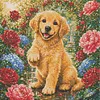 Diamond Painting -5D Full Round Drill Golden Retriever Puppy(40x40cm)