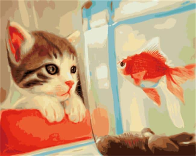 

A Cat and a Red Fish – Paint By Numbers - 40*50CM, 501 Original