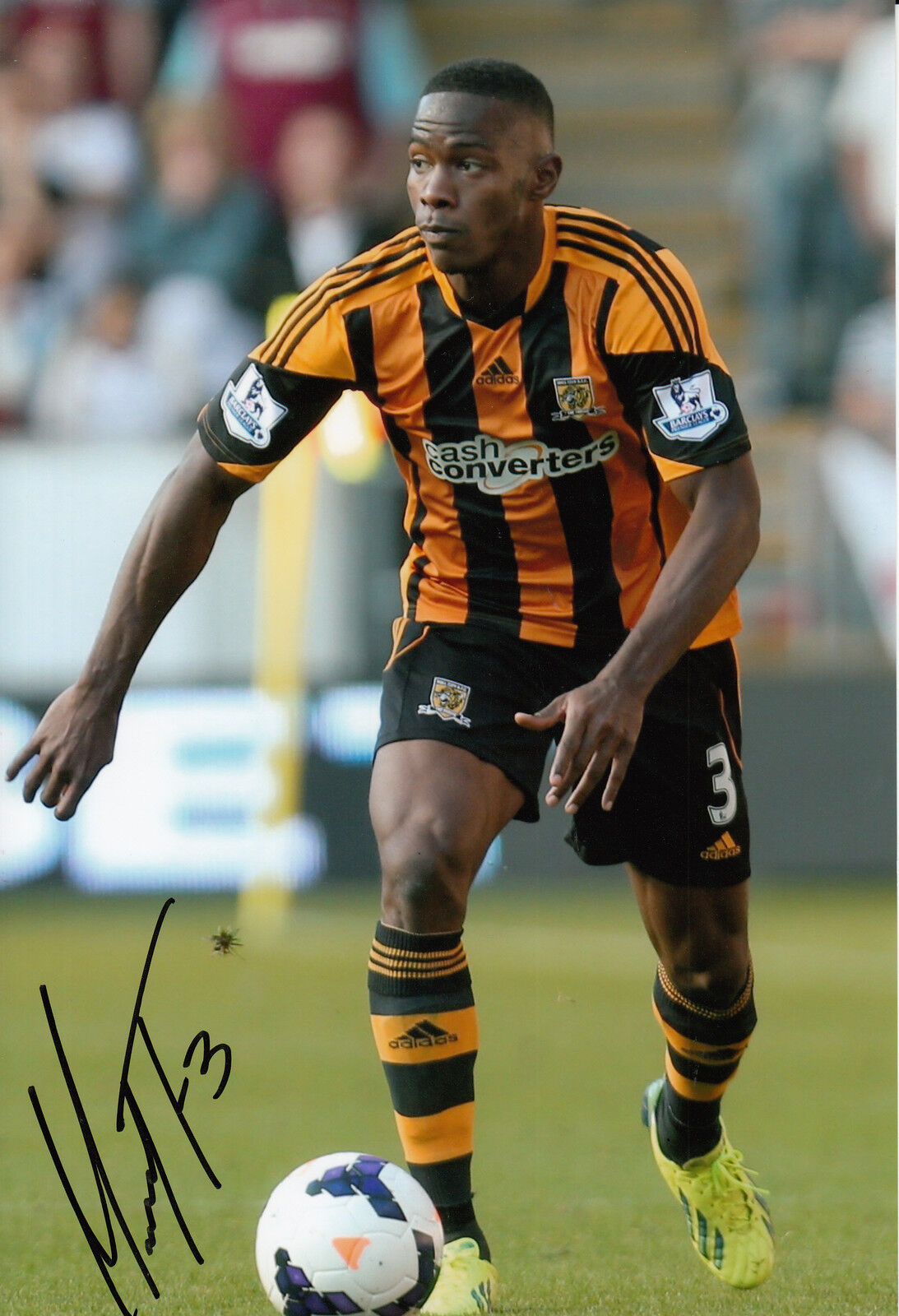 Hull City Hand Signed Maynor Figueroa 12x8 Photo Poster painting 5.
