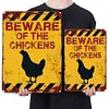 Chicken - Metal Tin Signs(8*12Inch/12*16Inch) - Animal