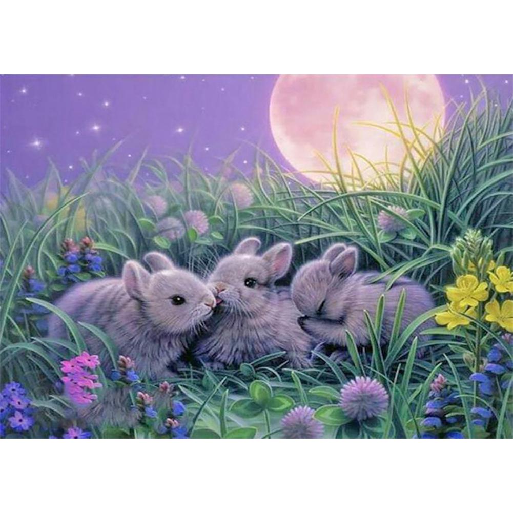 

Rabbit-Round Drill Diamond Painting-40*30CM, 501 Original