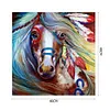 uk.everydayedeals (Limited Stock)Paint By Number - Oil Painting -  Horse (40*40Cm)