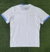 2024-2025 Uruguay National Team Away Football Shirt 