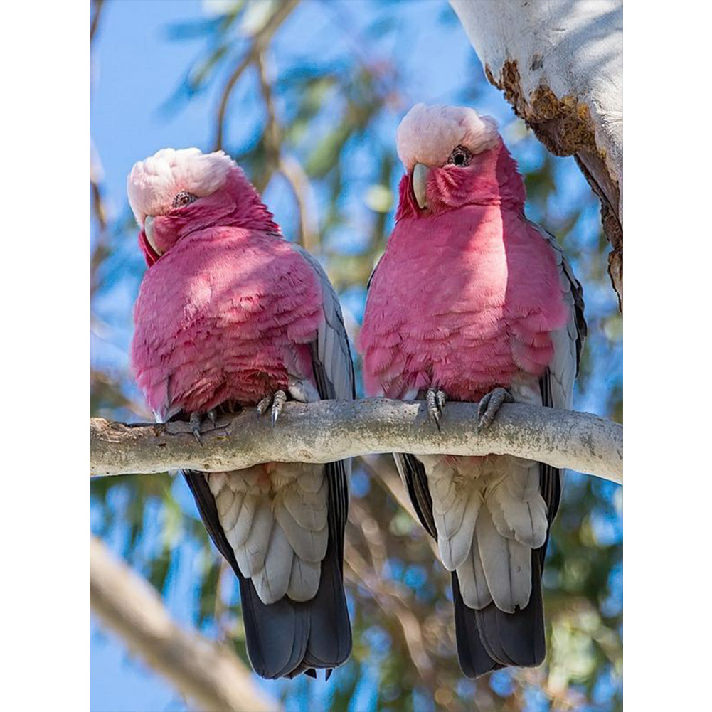 

(Multi-Size) Parrot - Round/Square Drill Diamond Painting - 30*40CM, Round diamond 30*40cm, 501 Original