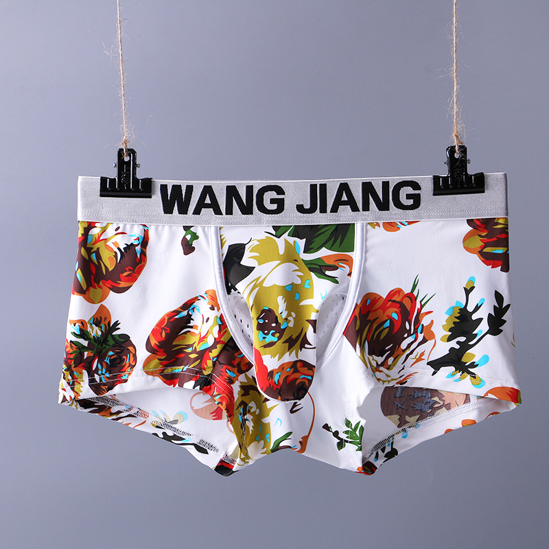 Soloyy Mesh Bullet-Separating Men's Boxer Briefs with Elephant Trunk Print Ice Silk Underwear Men's Trunks