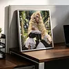 Rococo Garden Lady Special Shaped DIY Partial Drill Diamond Painting Kit for Adults Beginners Home Decor Diamonds Paintings Gem Art 30x30cm