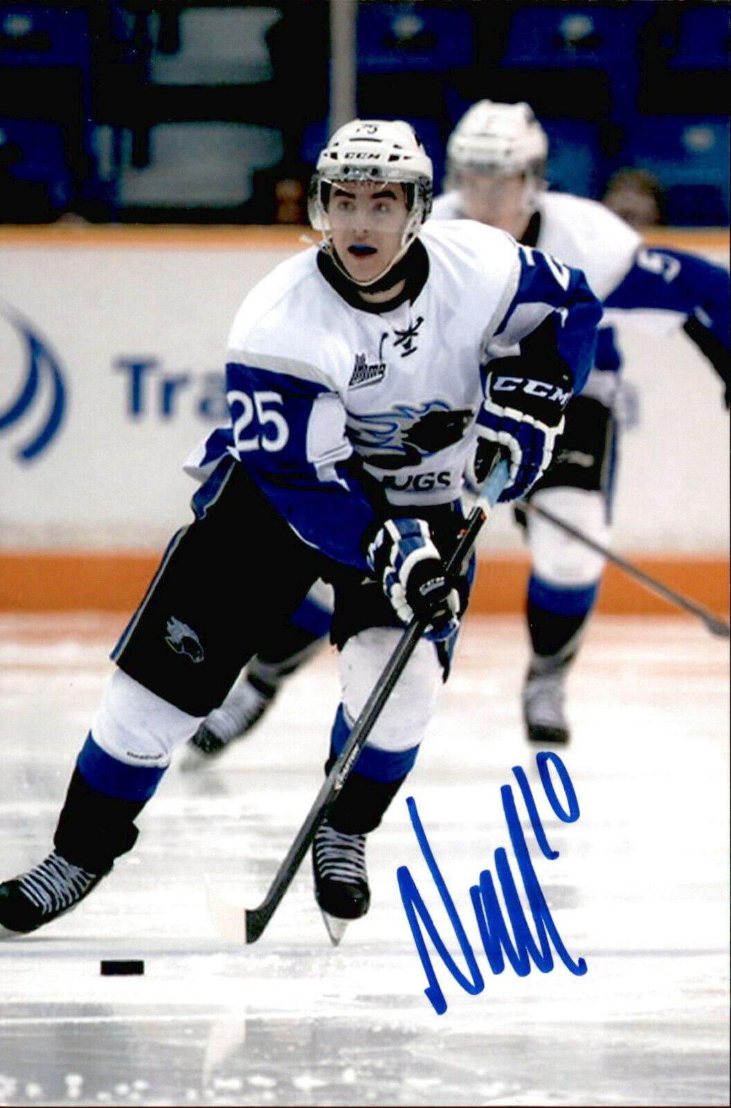 Nathan Noel SIGNED 4x6 Photo Poster painting SAINT JOHN SEA DOGS / CHICAGO BLACKHAWKS #3