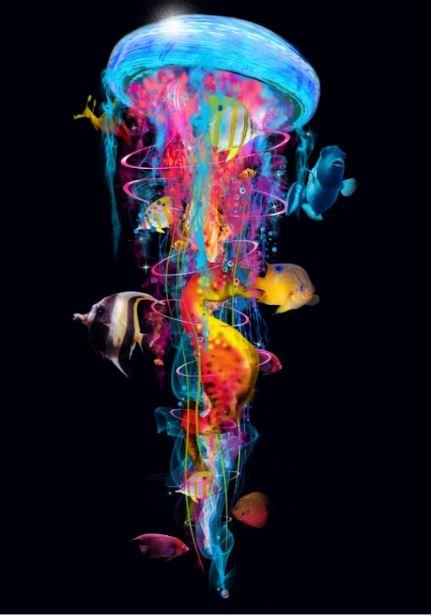 

New Jellyfish Big Fish – Paint By Numbers - 40*50CM, 501 Original