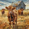 (US Only)Cattle Printed Cross Stitch Kit 40x40cm DIY 14CT Thread Art Needlework Decor