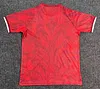 2026 T&uuml;rkiye National Team Special Football Football Shirt 1:1 Thai Quality 