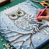 (25x25cm)DIY Owl Framed Handmade Pearl Painting Art Craft Kit Living Home Decor
