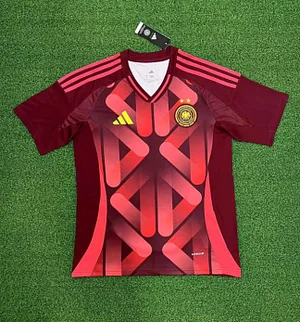 2025 Germany Away Football Shirt 1:1 Thai Quality