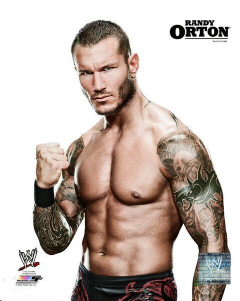 WWE RANDY ORTON OFFICIAL LICENSED 8X10 Photo Poster paintingFILE Photo Poster painting 7