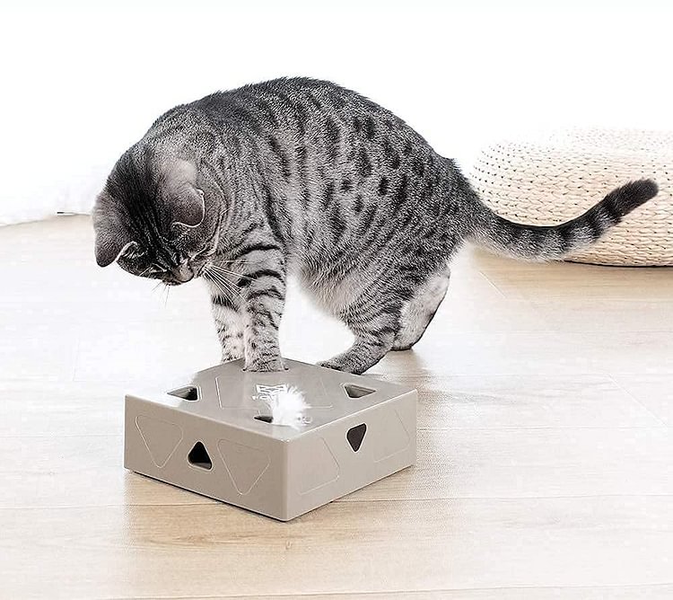 Pets Rapport - Cat Funbox