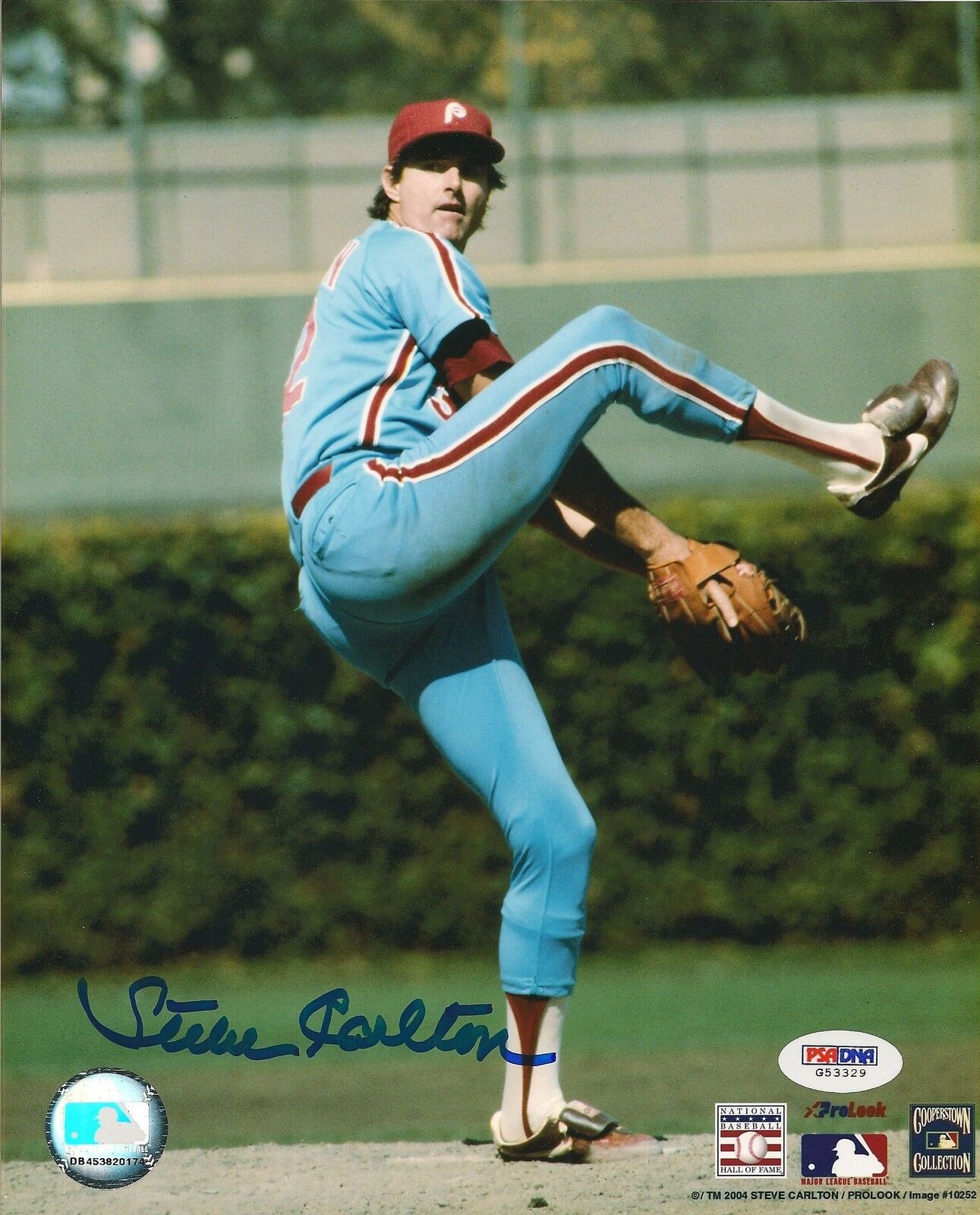 Steve Carlton Signed Phillies Baseball 8x10 Photo Poster painting PSA/DNA COA Picture Autograph