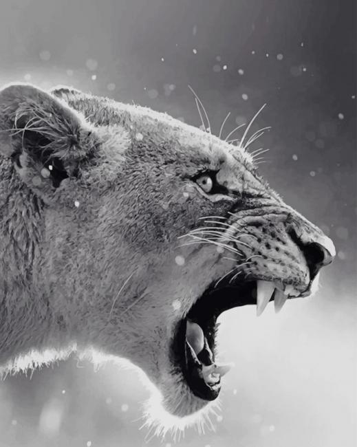 

Female Lion – Paint By Numbers - 40*50CM, 501 Original