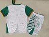 Joyfball 2025/2026 Kids Size Cameroon Third Away Football Shirt 1:1 Thai Quality