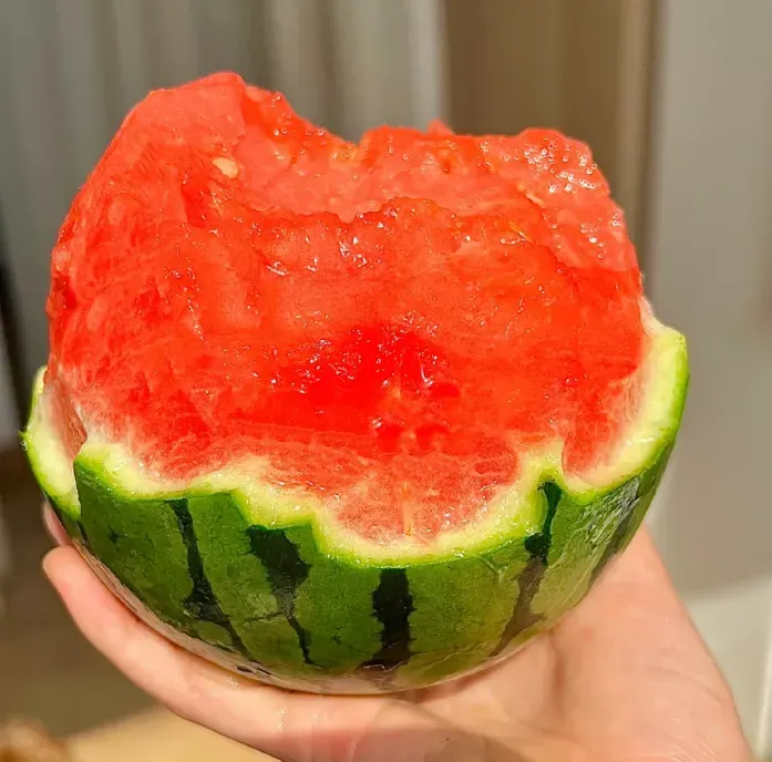 Potted Watermelon Seeds-Small Space Planting