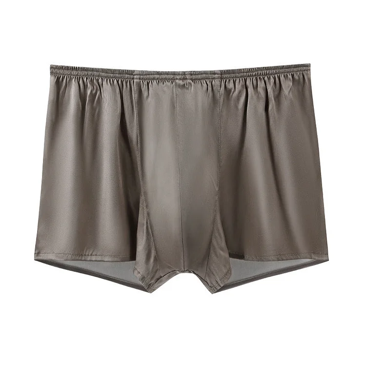 Men's Mulberry Silk Boxer