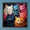 Bunte Katze - runder Bohrer Diamond Painting - 40*40cm