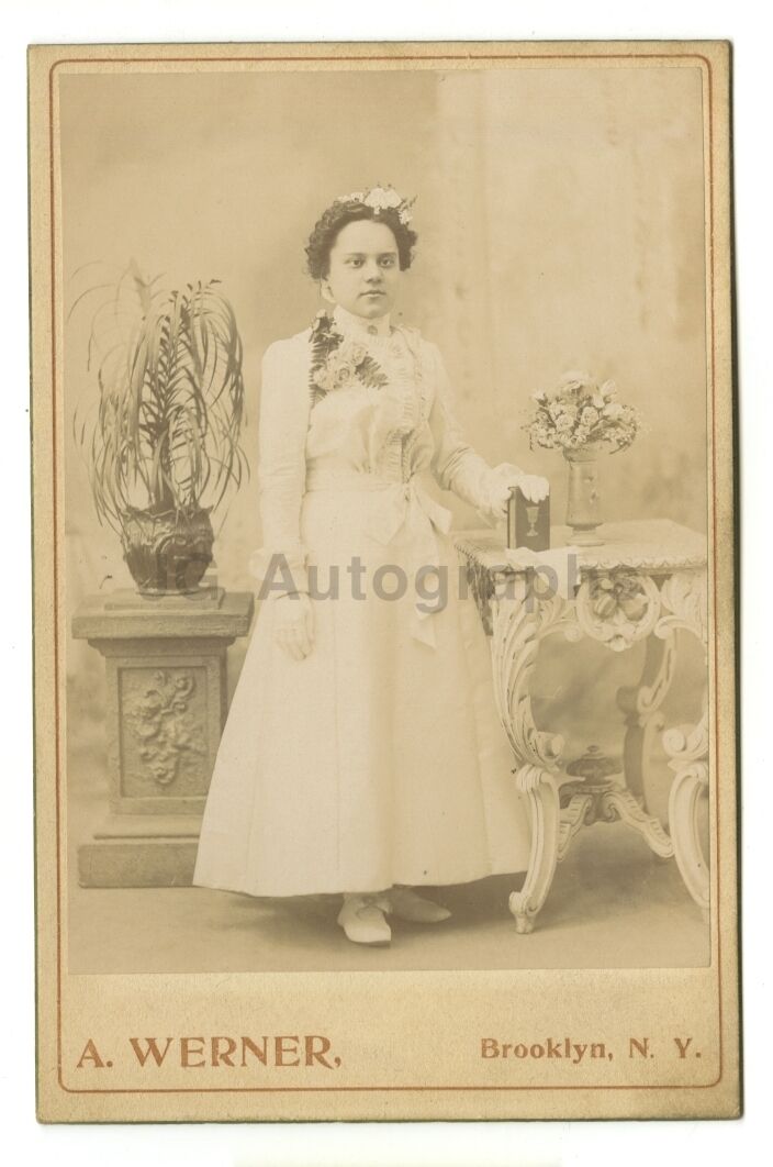 19th Century Fashion - Original Cabinet Card Photo Poster painting - Brooklyn, NY